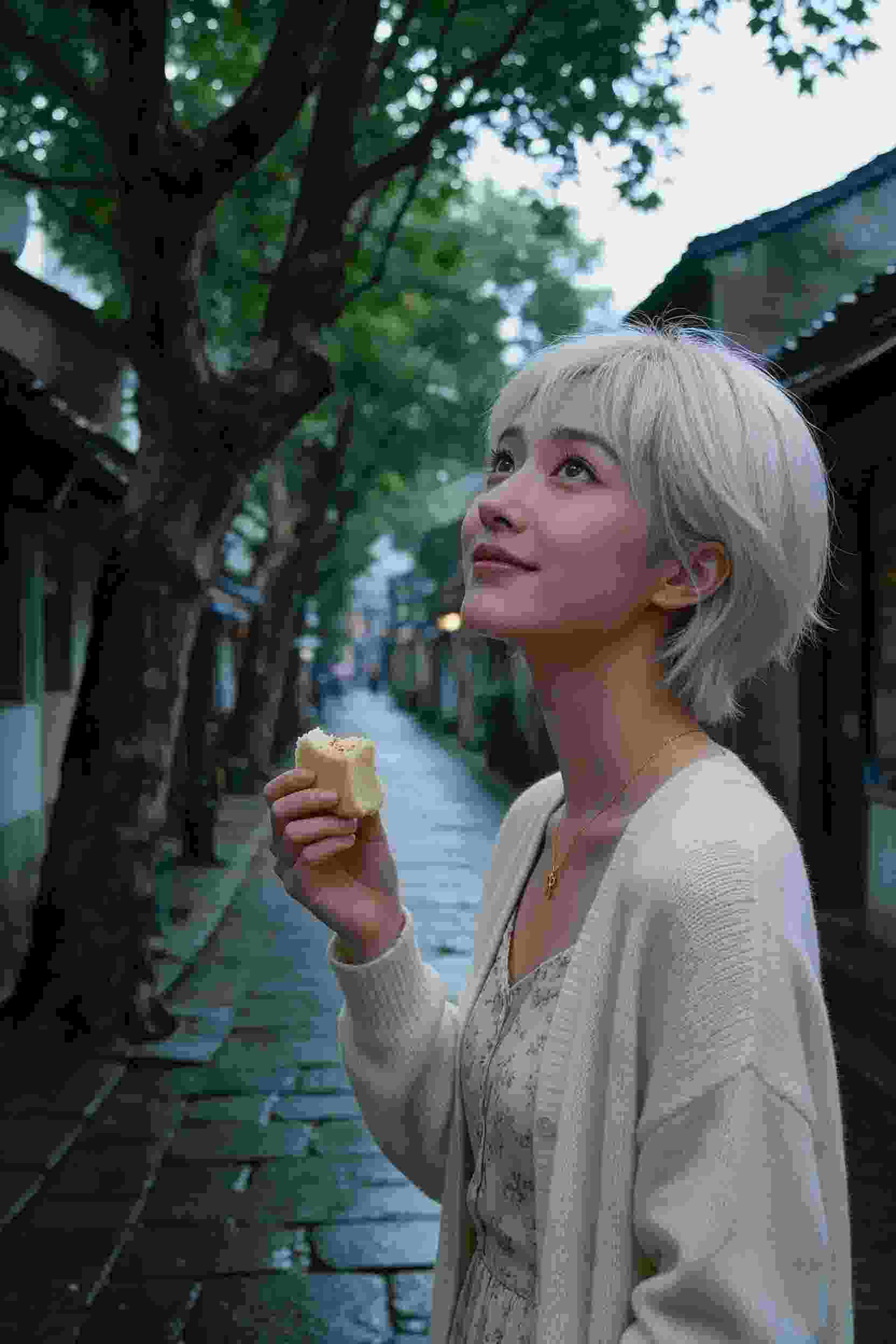 足球风暴